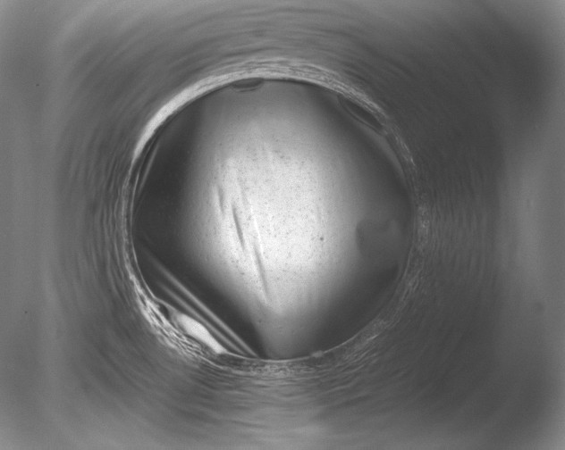 X0000085731530200703301348