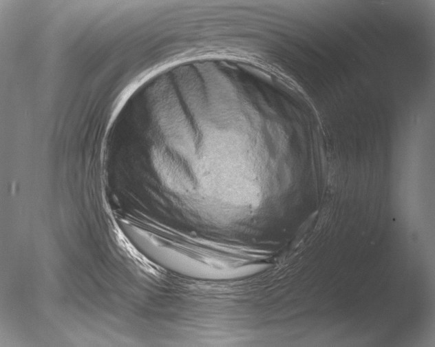 X0000085731532200703301348