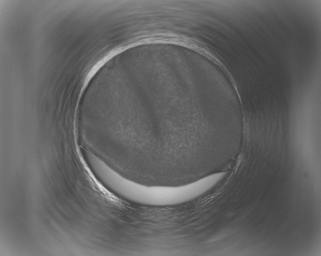 X0000085731533200703301348