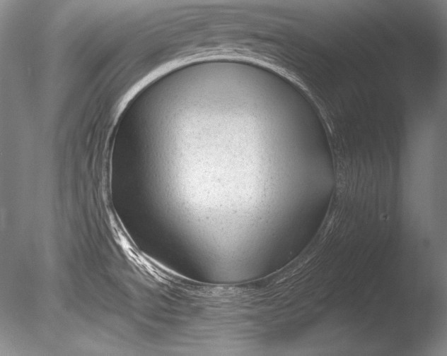 X0000085731534200703301348