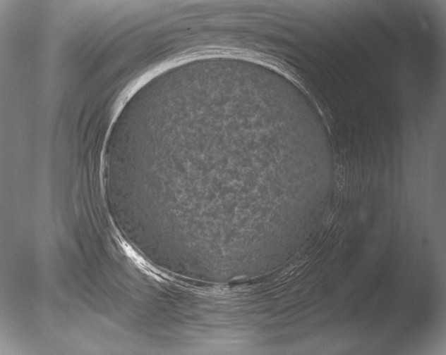 X0000085731535200703301348