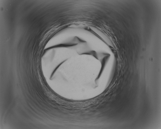 X0000085730001200704091456