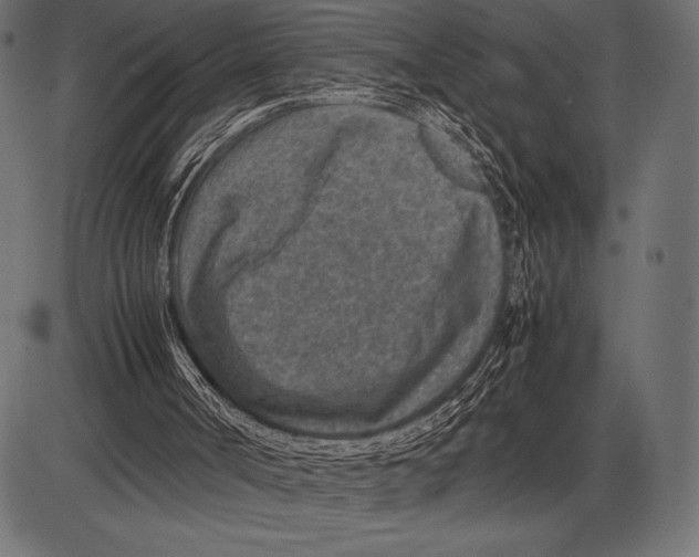 X0000085730002200704091456