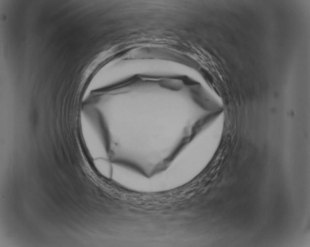 X0000085730003200704091456