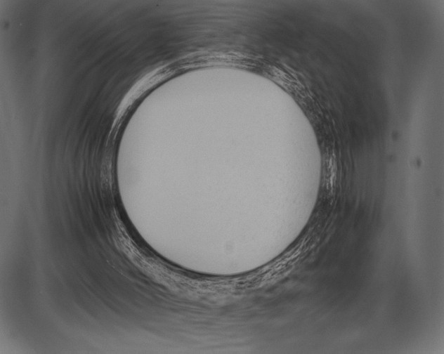 X0000085730004200704091456