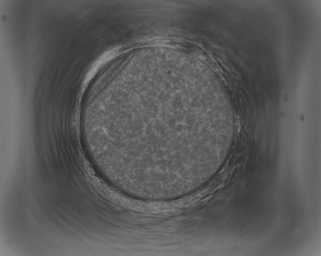 X0000085730006200704091456