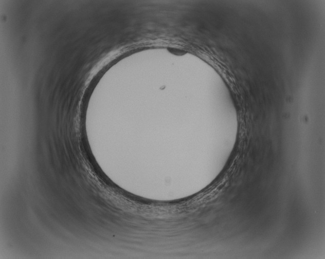 X0000085730008200704091456