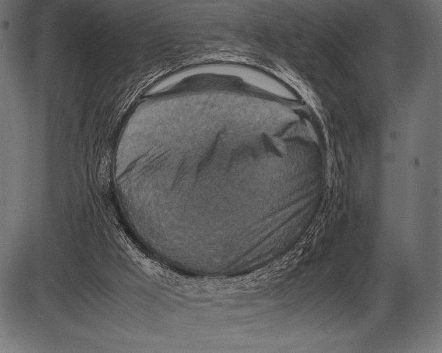 X0000085730009200704091456