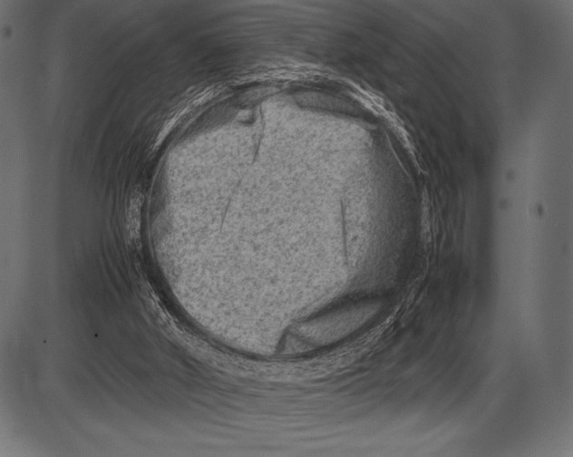 X0000085730010200704091456