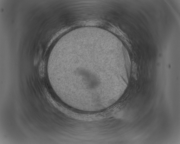 X0000085730012200704091456