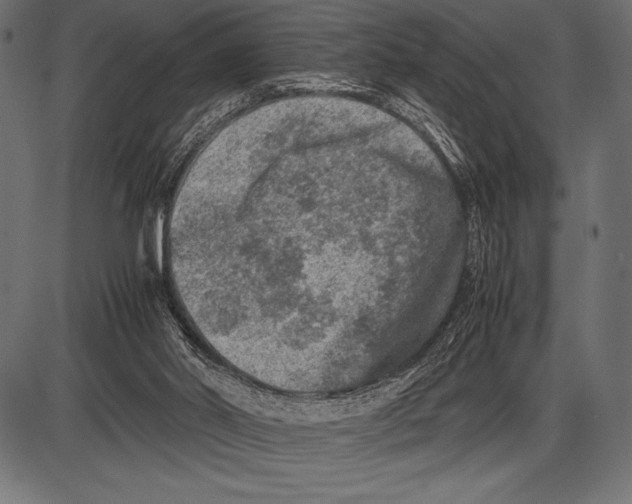 X0000085730014200704091456