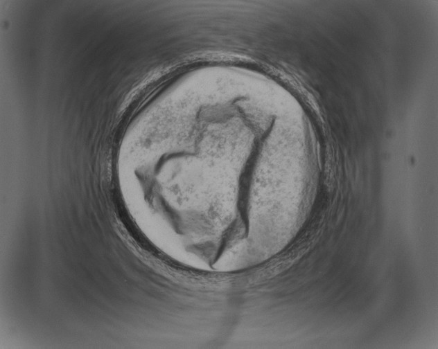 X0000085730015200704091456