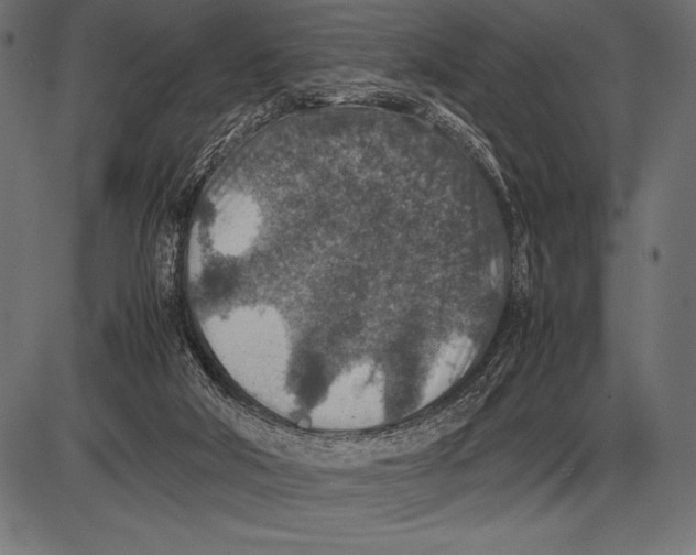 X0000085730018200704091456