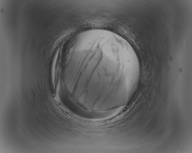 X0000085730019200704091456