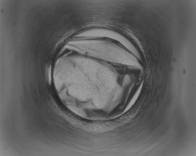 X0000085730020200704091456