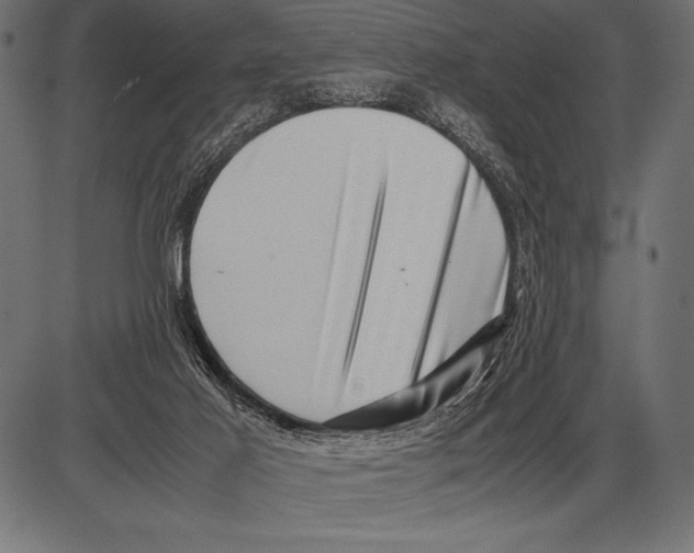 X0000085730021200704091456