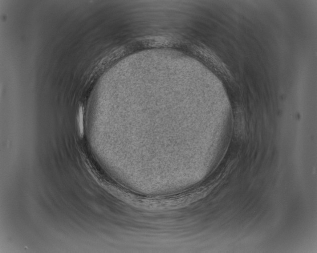 X0000085730022200704091456