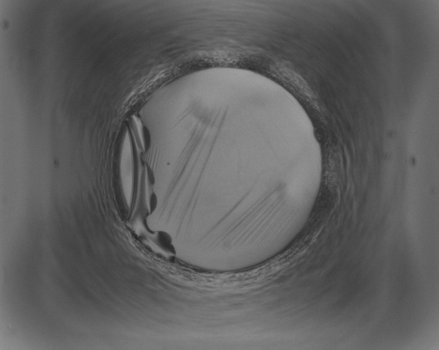 X0000085730023200704091456