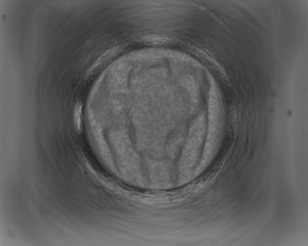 X0000085730024200704091456