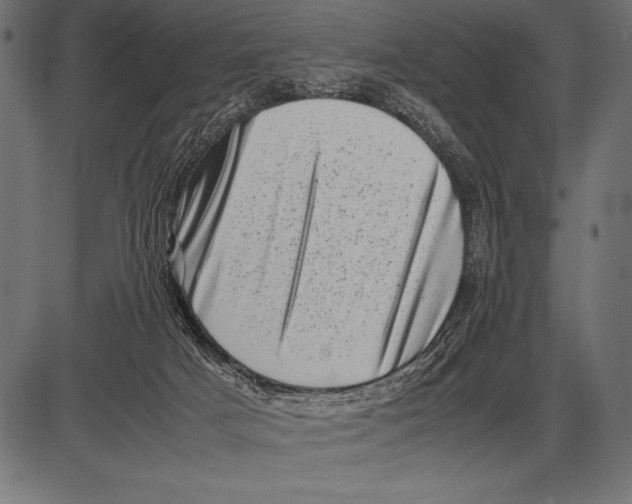 X0000085730025200704091456