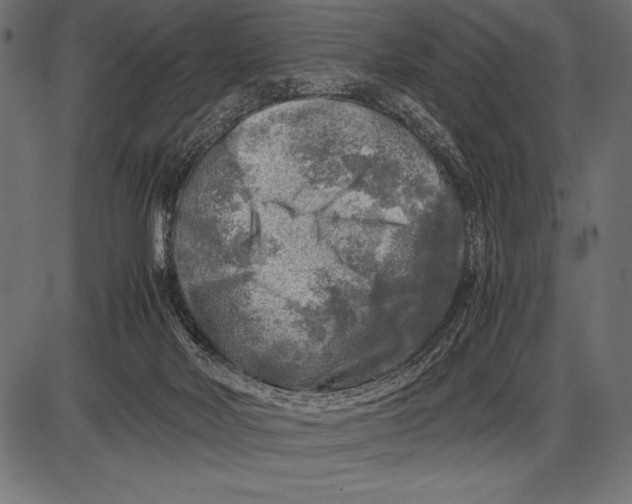 X0000085730026200704091456