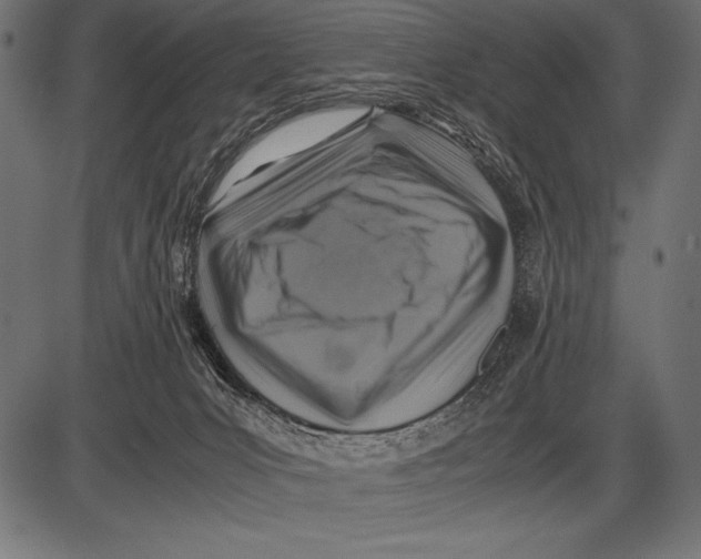 X0000085730031200704091455