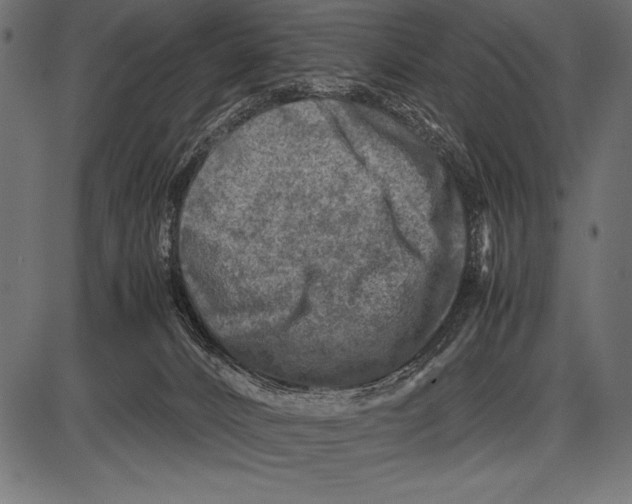 X0000085730032200704091455