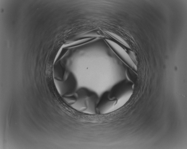 X0000085730033200704091455