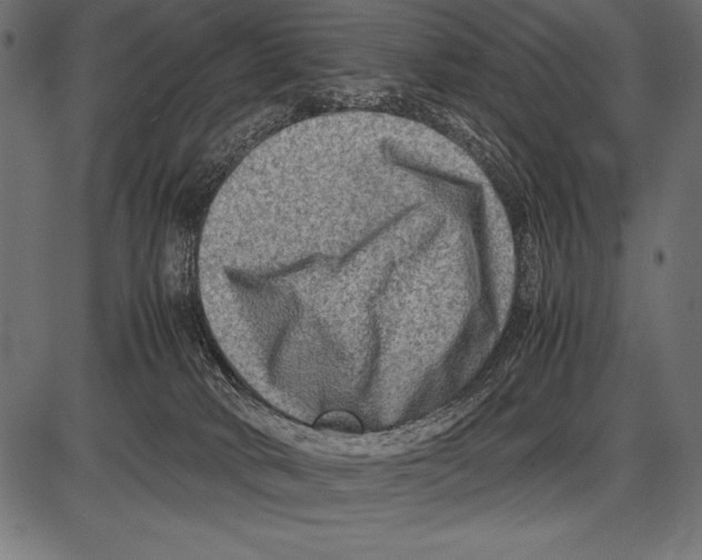 X0000085730034200704091455