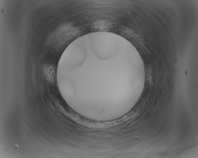 X0000085730036200704091455