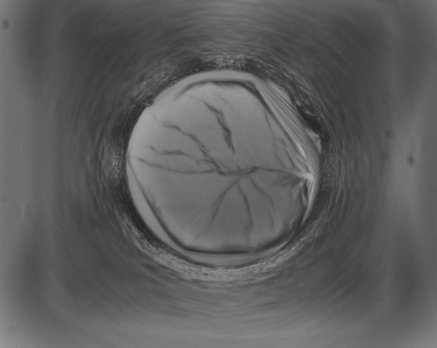 X0000085730039200704091455