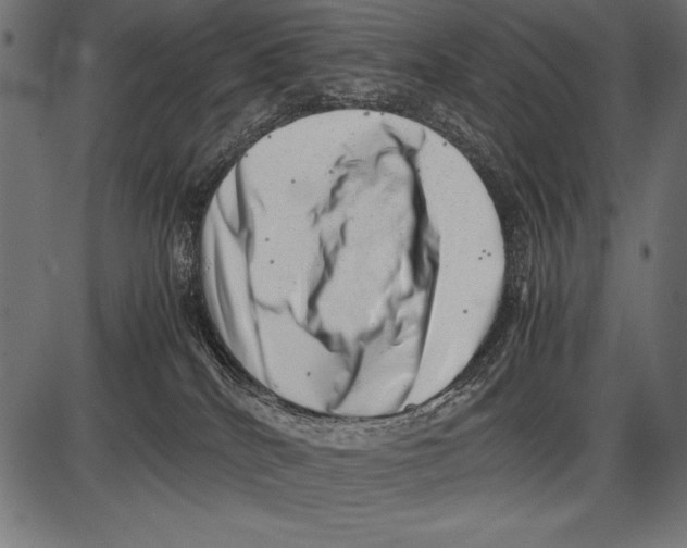 X0000085730040200704091455