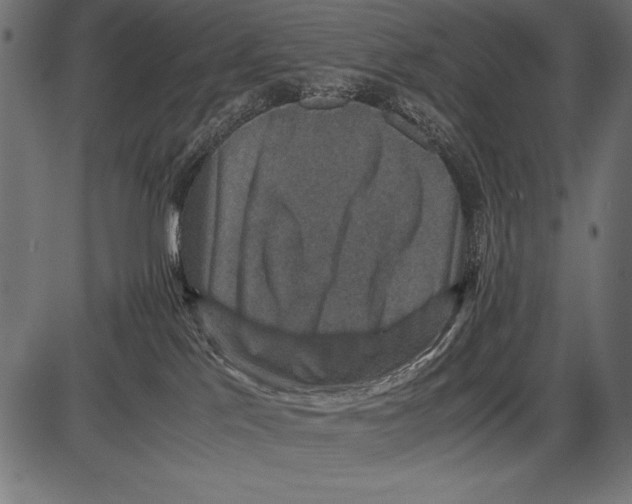 X0000085730041200704091455