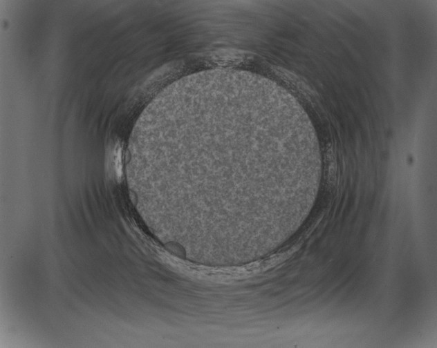 X0000085730042200704091455