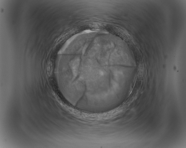 X0000085730043200704091455