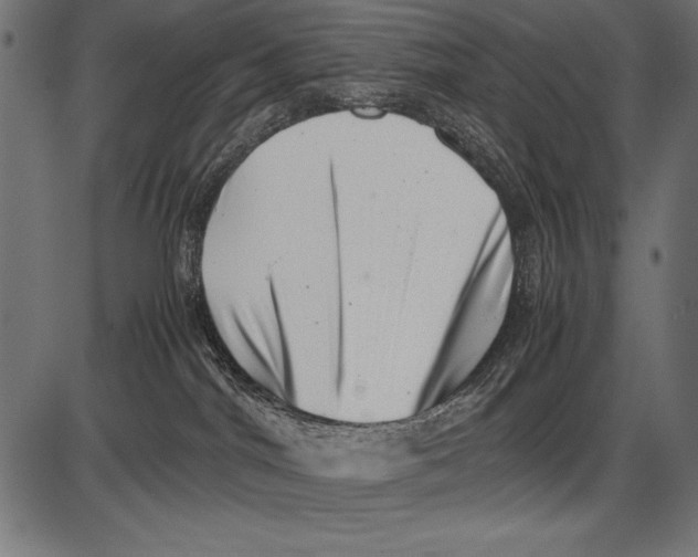 X0000085730044200704091455