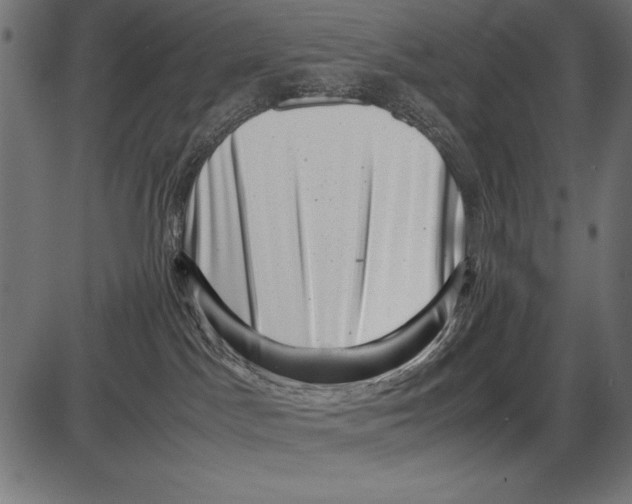 X0000085730045200704091455