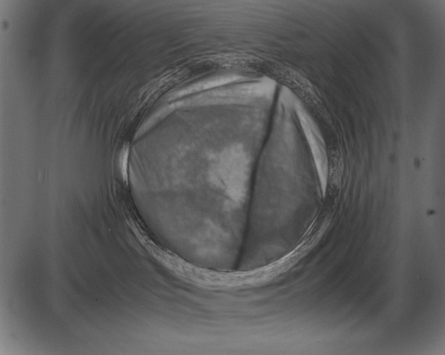 X0000085730047200704091455