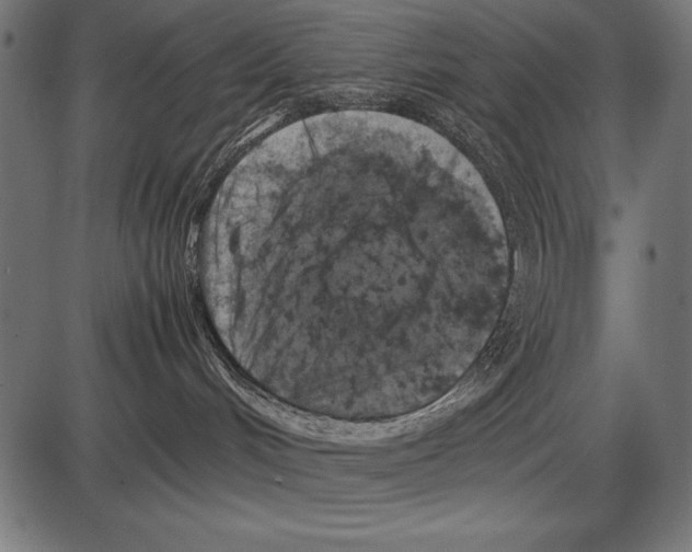 X0000085730048200704091455