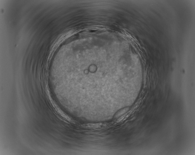 X0000085730049200704091454