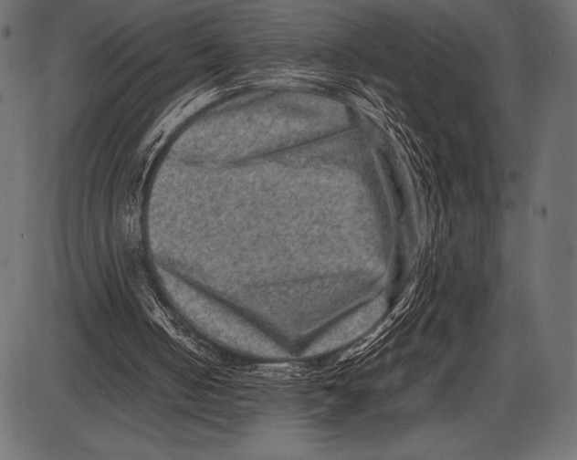 X0000085730050200704091454