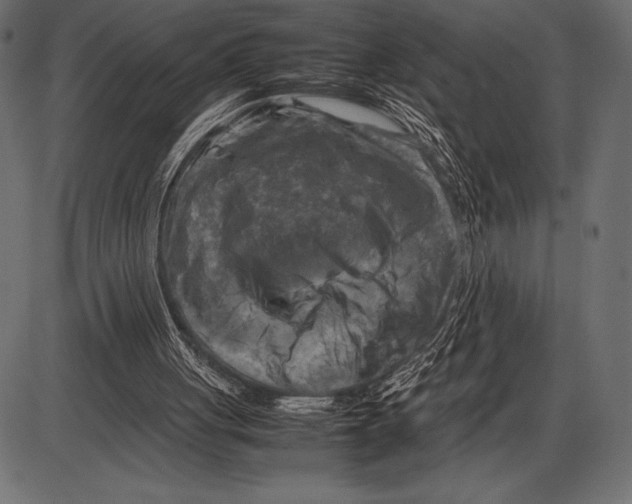 X0000085730051200704091454