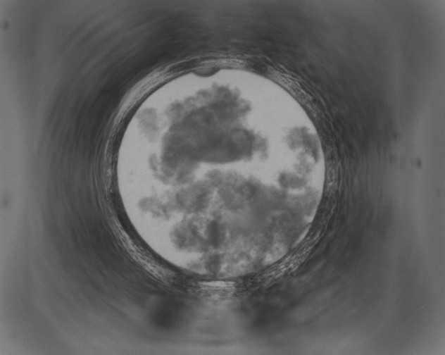 X0000085730053200704091454