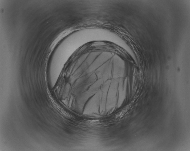 X0000085730054200704091454