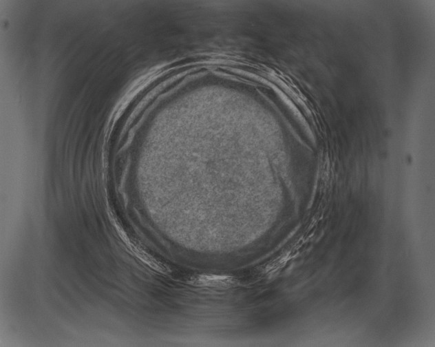 X0000085730055200704091454