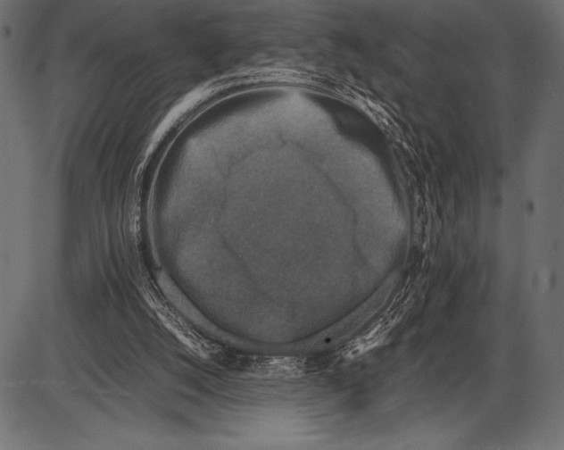 X0000085730056200704091454