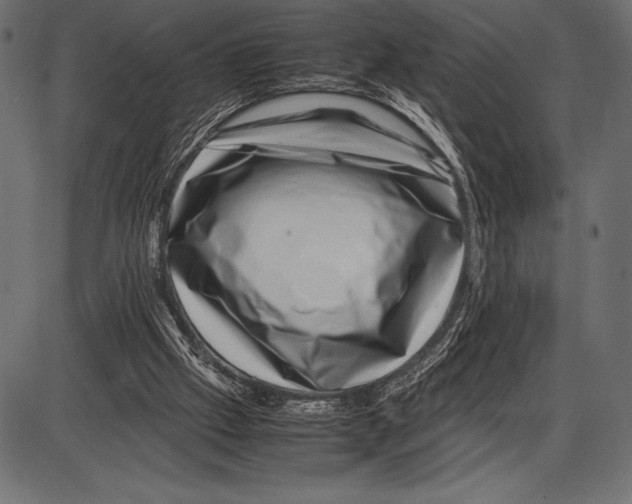 X0000085730057200704091454