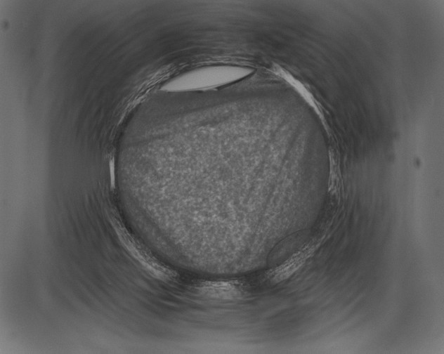 X0000085730061200704091455