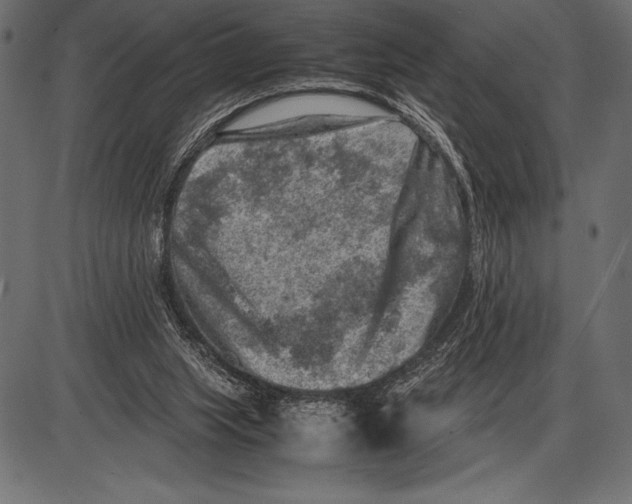 X0000085730063200704091455