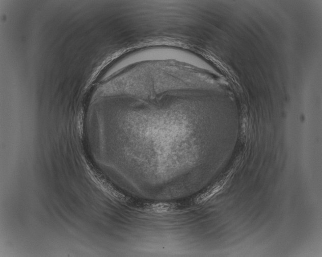 X0000085730064200704091455